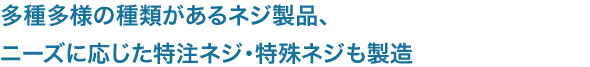 多種多様の種類があるネジ製品、
ニーズに応じた特注ネジ・特殊ネジも製造